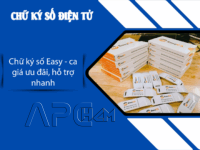 APC HCM Chu ky so Easy ca