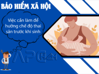 APC HCM Viec can lam de huong che do truoc sinh